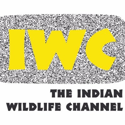 IWC