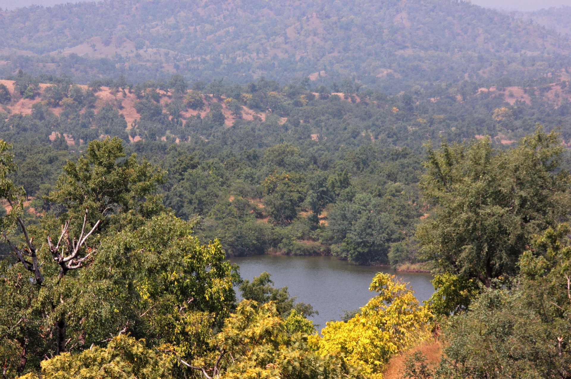 The Revival Of Yawal Wildlife Sanctuary