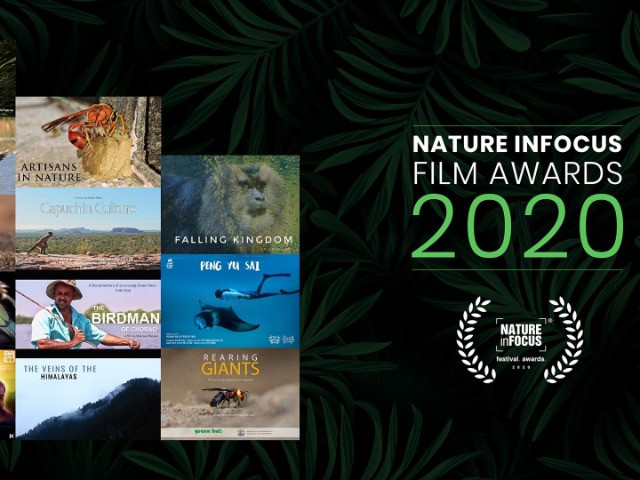Nature inFocus Film Awards 2020: The Winners