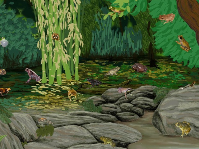 Tune In For A Frog Orchestra!
