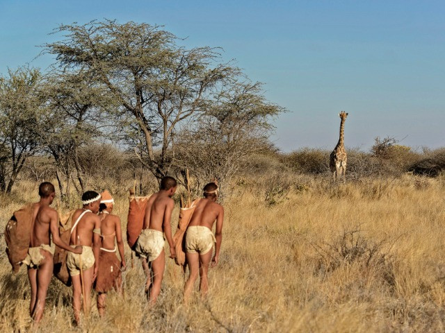 Evolve Back Gham Dhao Lodge