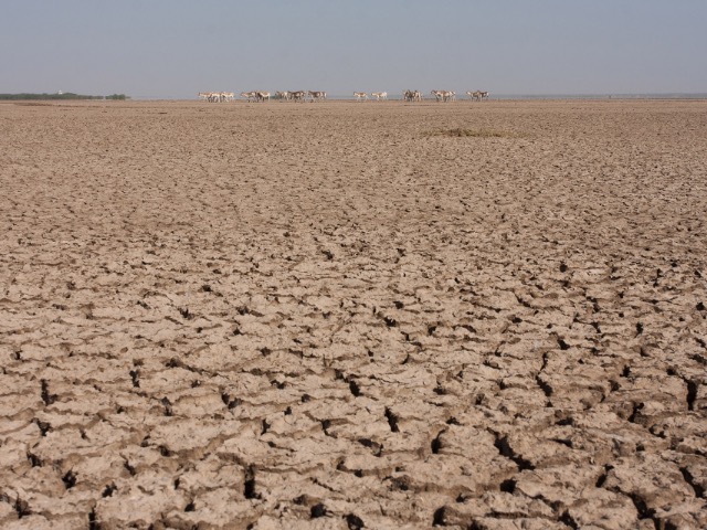 Little Rann of Kutch