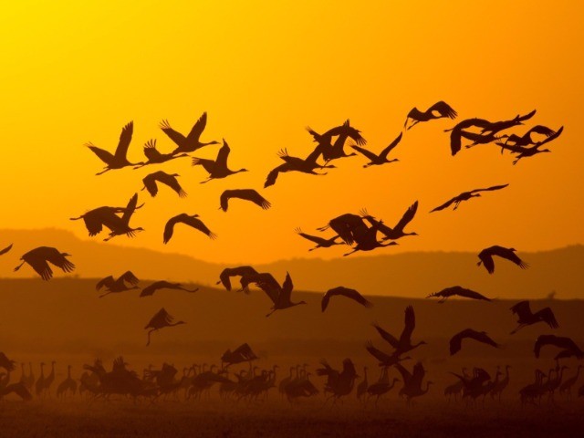 Great Rann Of Kutch