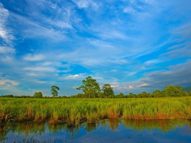 The Hidden Wealth Of Grasslands