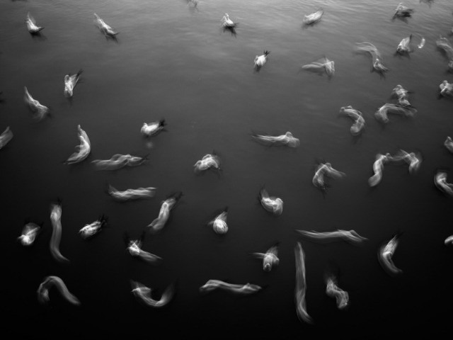 Creative Nature Photography Contest For #stilltolife: Winner Showcase