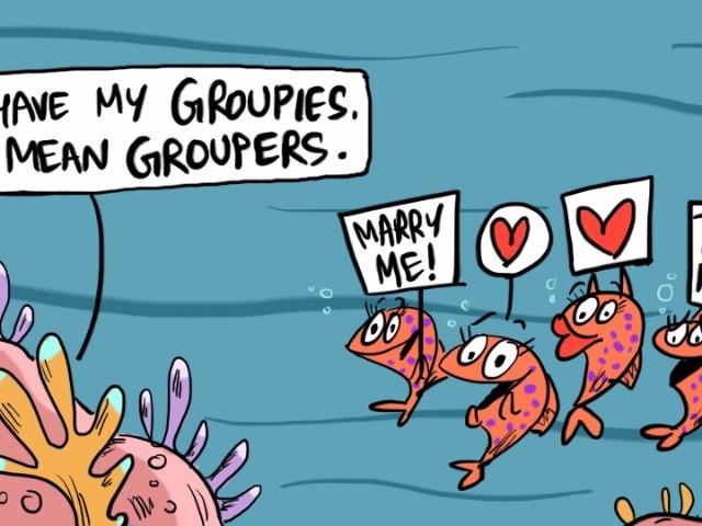 Corals in Cartoons