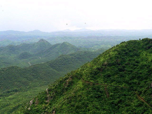 The Aravallis: From Forest To Desert