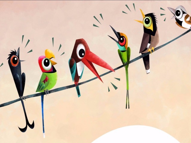 Birds Have A Lot To Say!