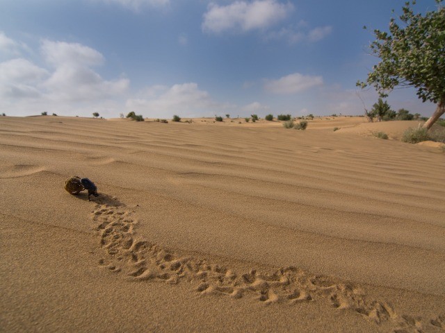 Desert National Park