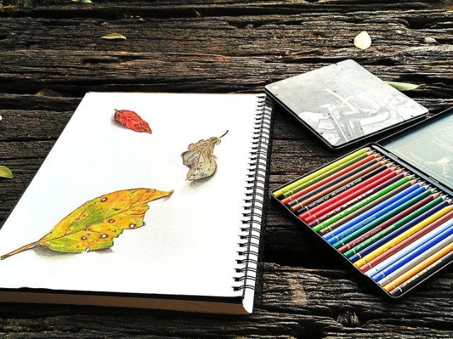 Leaf A Good Impression