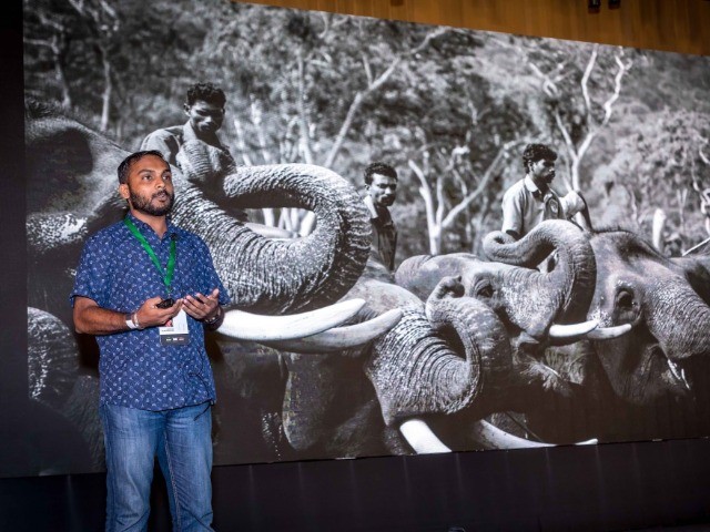 Sreedhar Vijayakrishnan: Elephant in Focus