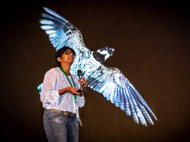Jainy Kuriakose: The Avian Nightriders