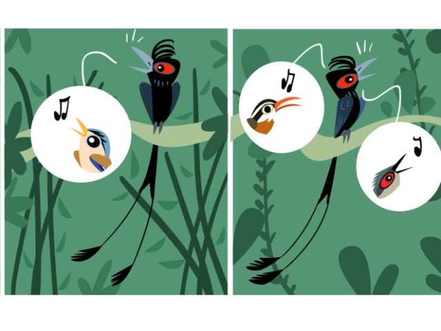 Rohan Chakravarty's Bird Business