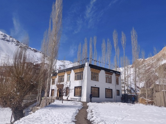 Snow Leopard Lodge: In The Abode Of The Grey Ghost