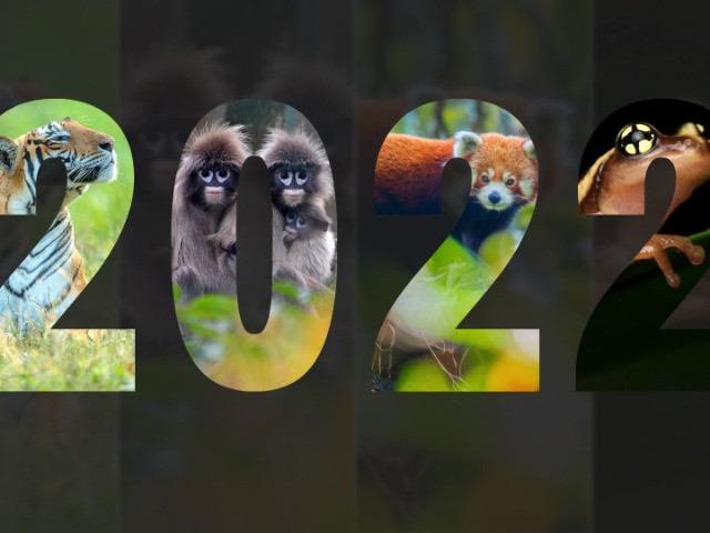 The Top Twelve Nature inFocus Stories Of 2022