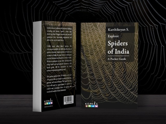 A Handy Field Guide To The Spiders Of India
