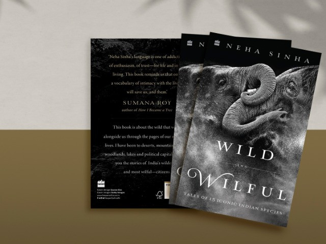 Wild And Wilful – 'We Are Part Of It, Not Owners Of It.'