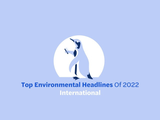 Top Environmental Headlines Of 2022—International