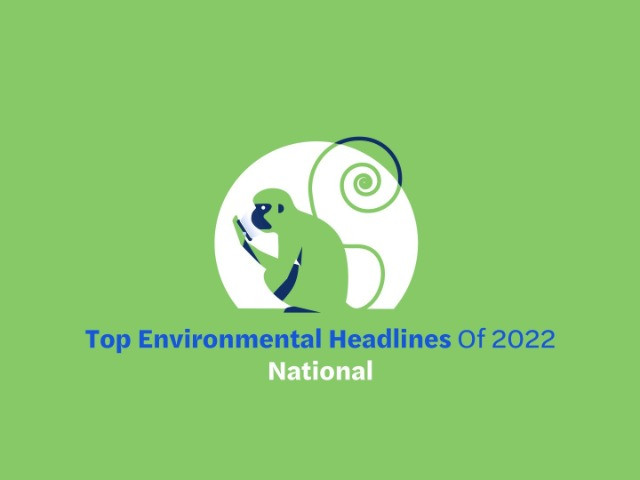 Top Environmental Headlines Of 2022—National