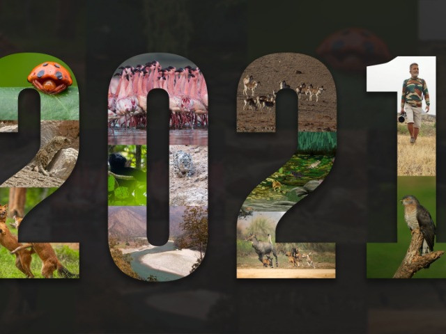 #YearEnd: Our Favourite Stories Of 2021