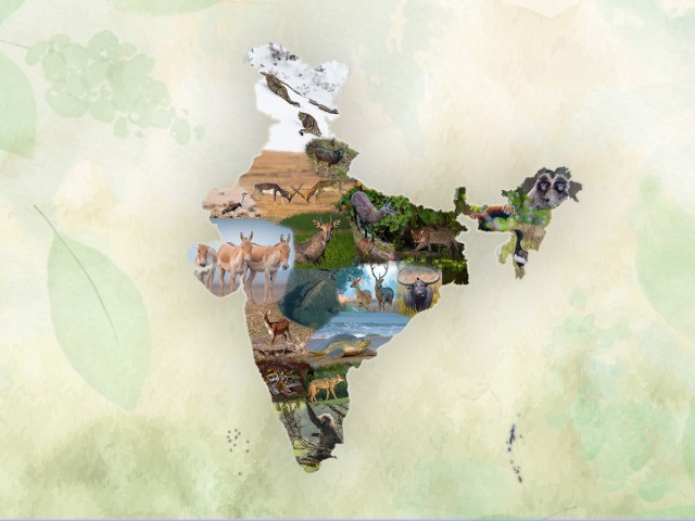 Iconic Species From Every State & Union Territory Of India
