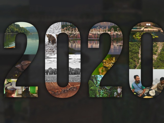 #YearEnd: Our Favourite Stories Of 2020