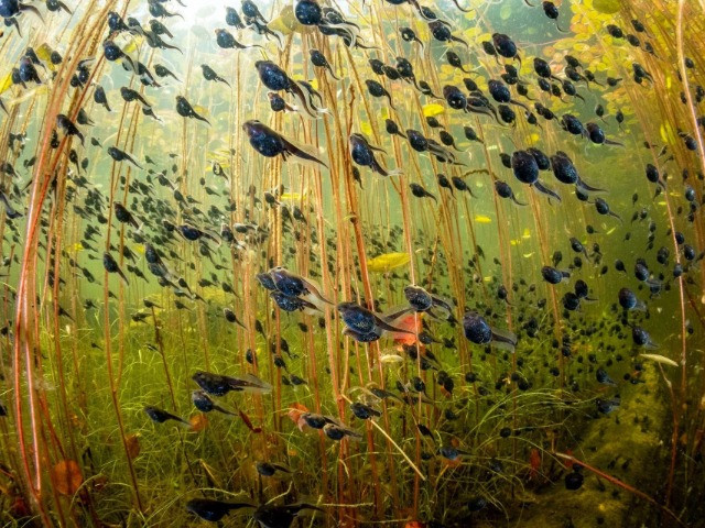 NHM WPY 60: Winners