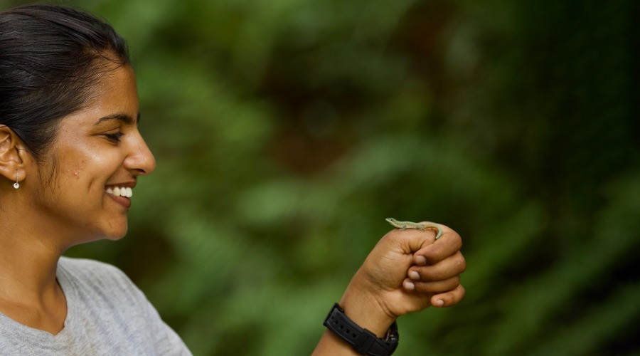 Ashwini Mohan Talks Geckos, Islands And Evolution
