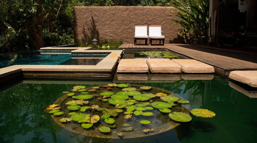 Evolve Back Coorg: Living A Planter's Best Life