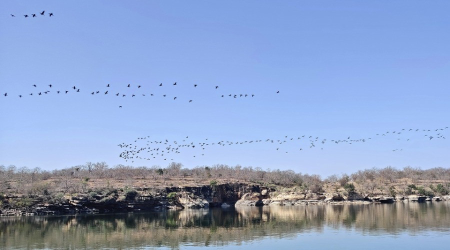 Gandhi Sagar Wildlife Sanctuary