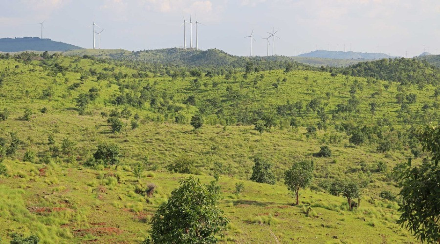 Conservation And The Commons