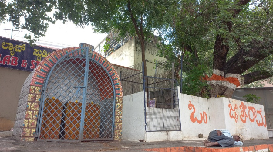 The Plague, a Goddess, and the Tree at the Heart of Bengaluru
