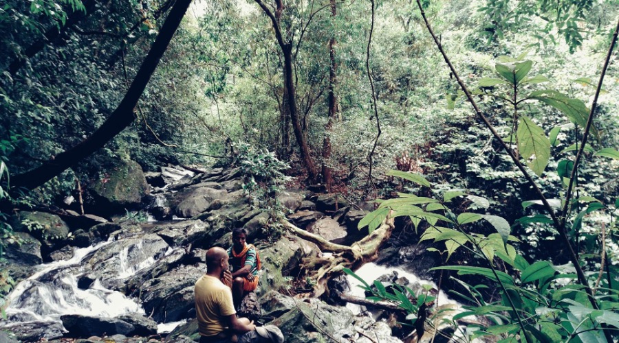 Lost And Found In The Sharavathi Valley