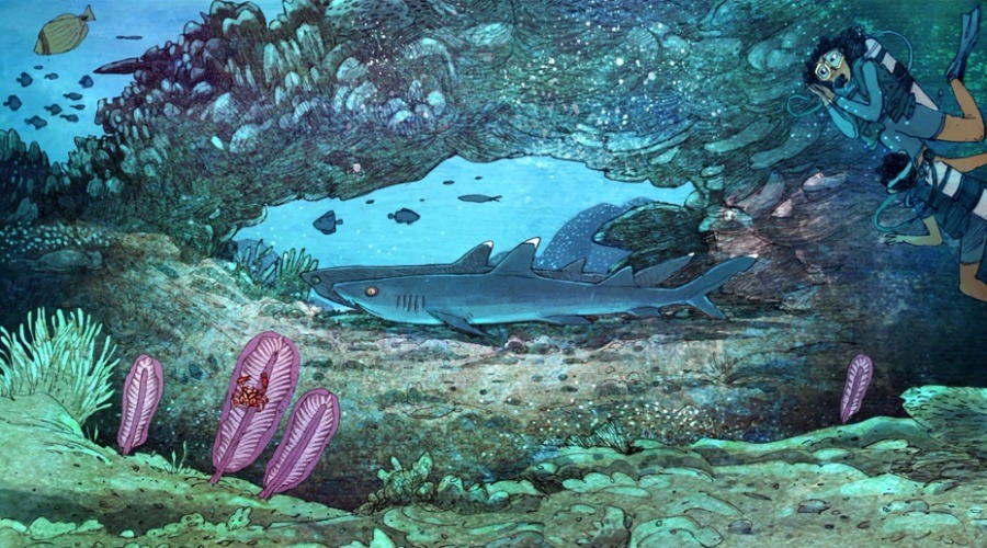 Two Fins Up