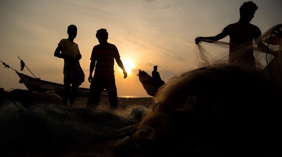 Fishing For A Livelihood