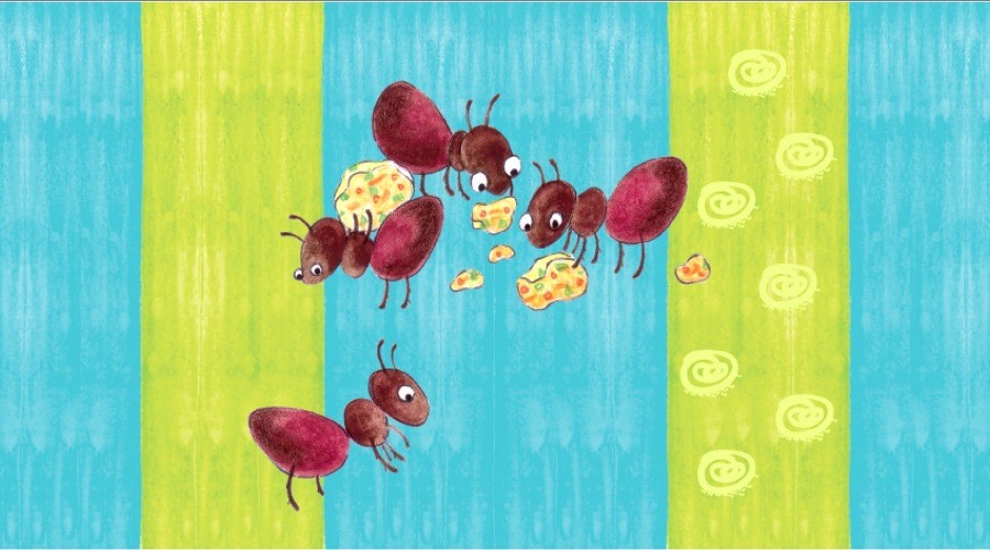 Hoot! Honey, I Found An Ant!