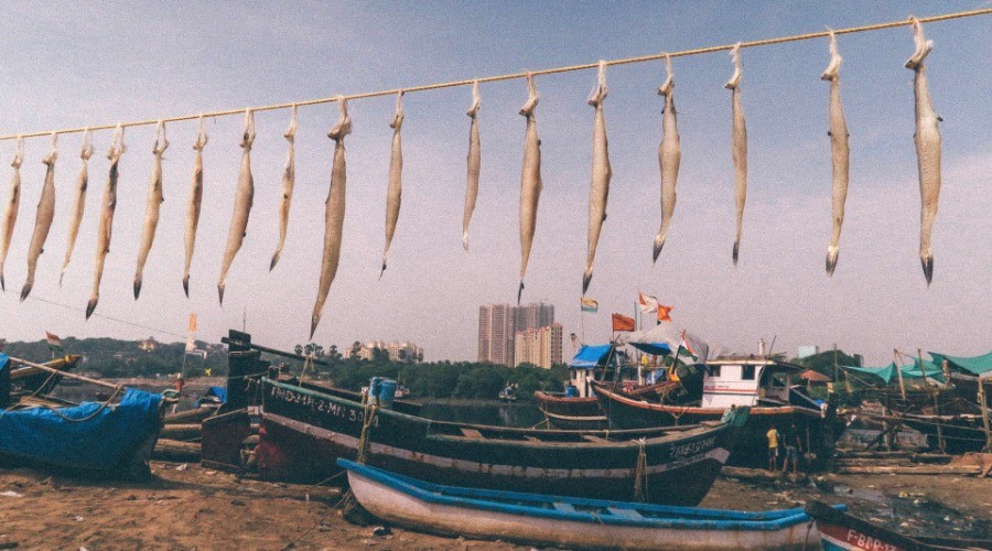 Versova's Ways