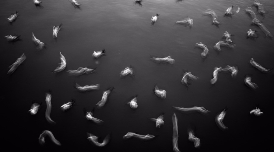 Creative Nature Photography Contest For #stilltolife: Winner Showcase
