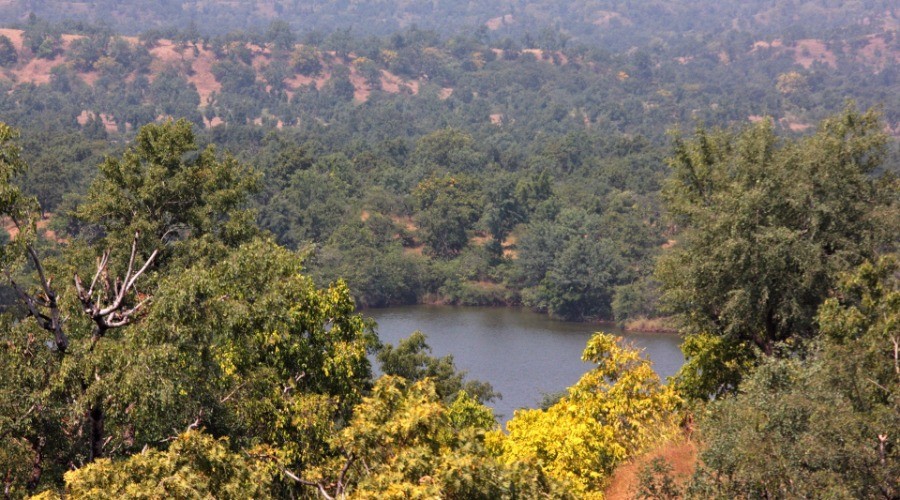 The Revival Of Yawal Wildlife Sanctuary
