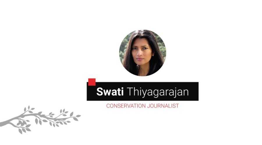 Anatomy of a Conservation Story