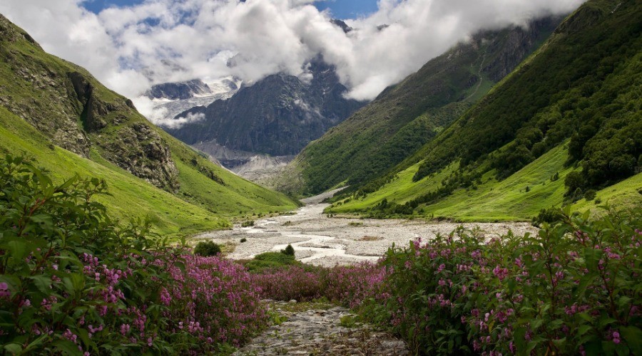 The Valley Of Flowers