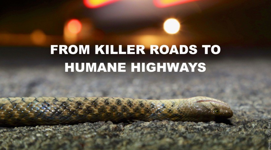 From Killer Roads to Humane Highways