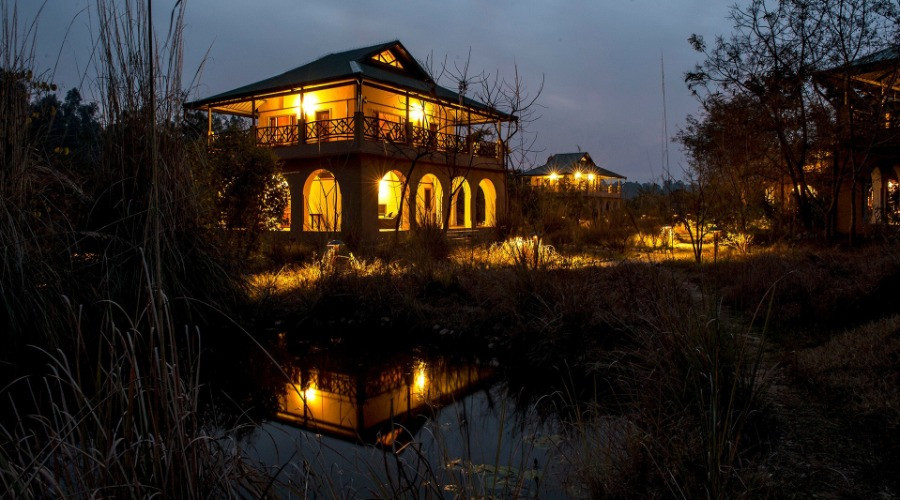 Jim's Jungle Retreat: Seek The Tiger, Find The Jungle