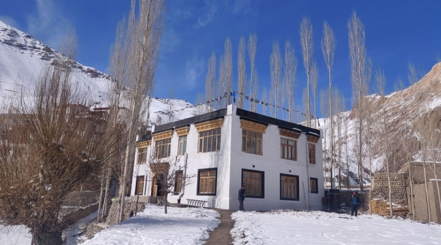 Snow Leopard Lodge: In The Abode Of The Grey Ghost