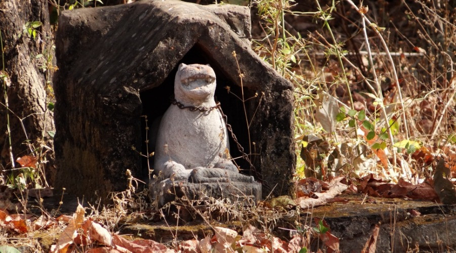 Tadoba’s Waghoba