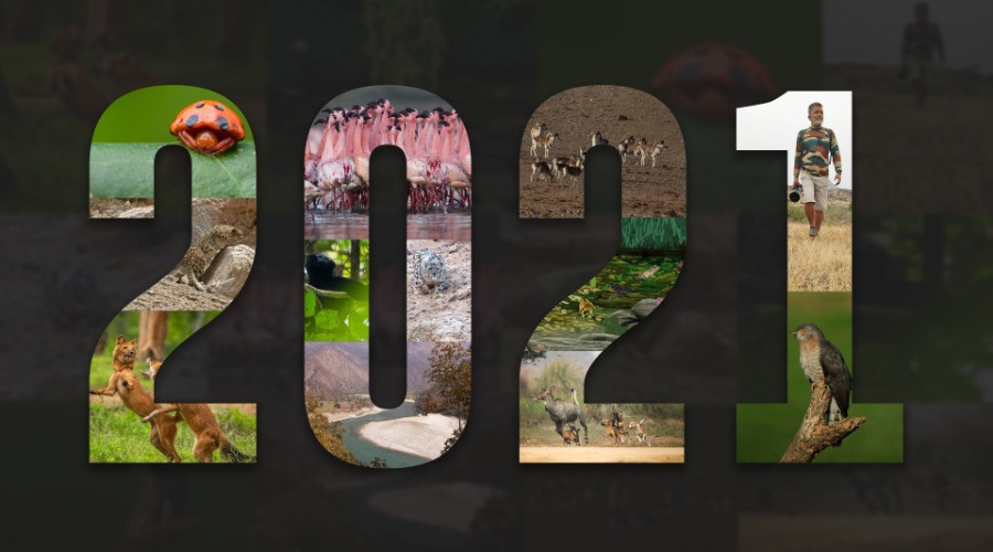 #YearEnd: Our Favourite Stories Of 2021