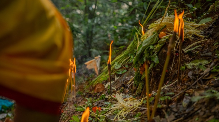 Sacred Spaces of Myristica Swamps