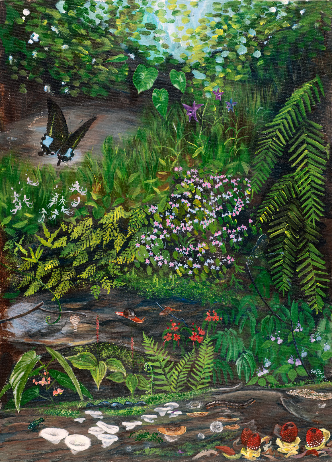 Illustration of the flora and fauna around a rainforest tree buttress