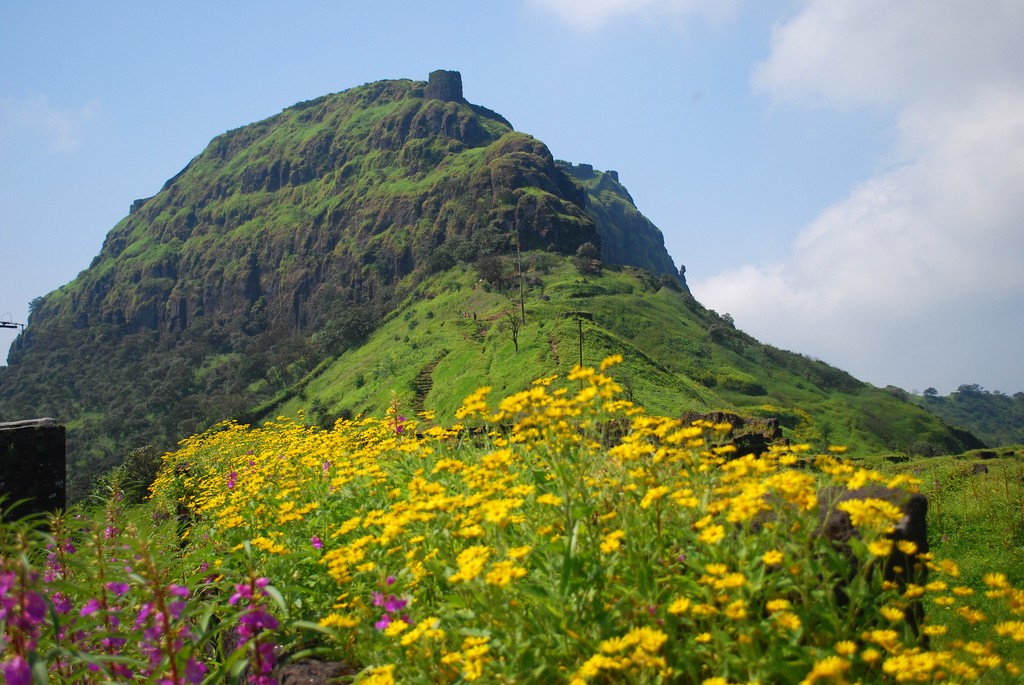 Rajgad fort after the monsoon