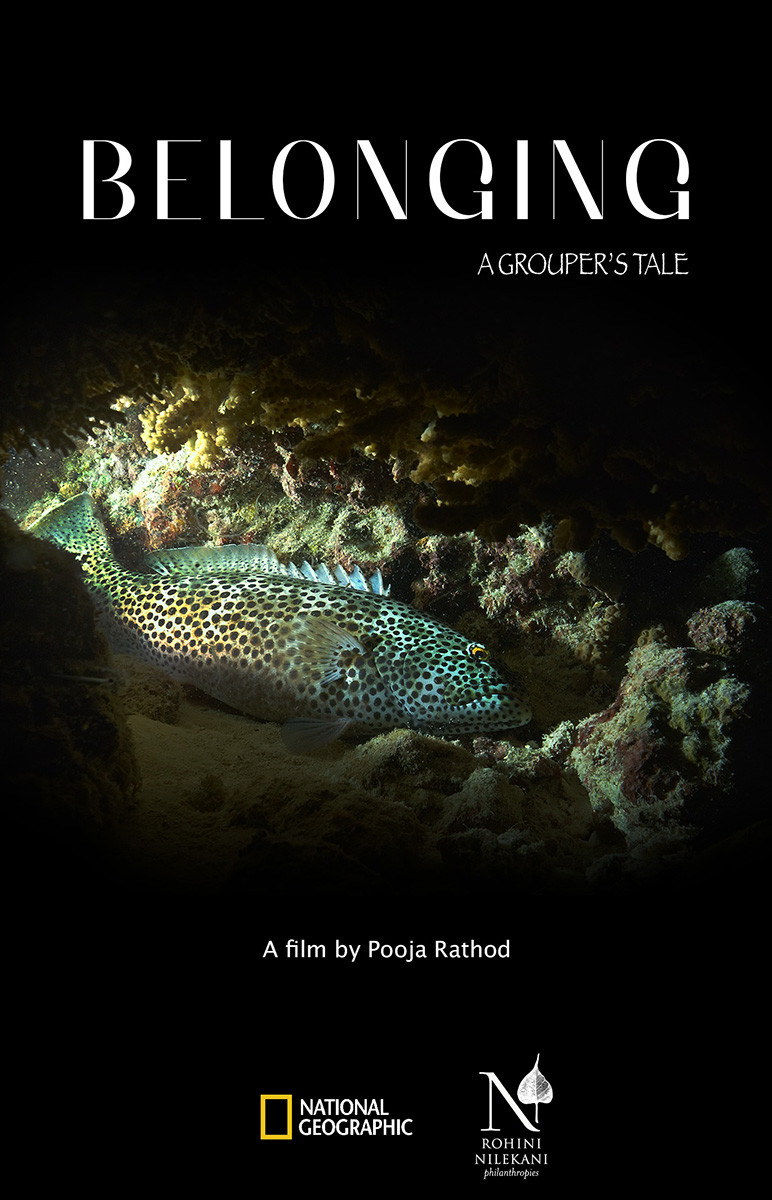Belonging poster | Nature Infocus